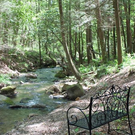 Private Creekside Cabin+Hot Tub,Pool Table, & Pets Ellijay Ngoại thất bức ảnh