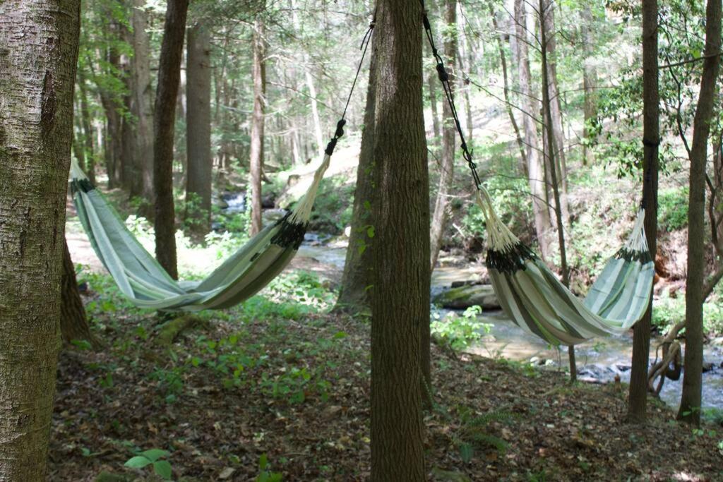 Private Creekside Cabin+Hot Tub,Pool Table, & Pets Ellijay Ngoại thất bức ảnh
