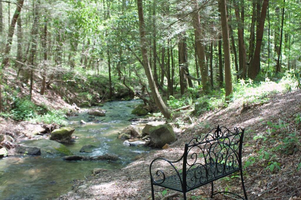 Private Creekside Cabin+Hot Tub,Pool Table, & Pets Ellijay Ngoại thất bức ảnh